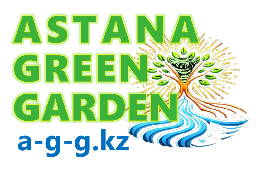 Logo 02